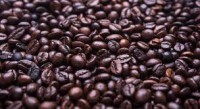 Xuất khẩu cà phê Việt Nam đứng thứ 2 thế giới